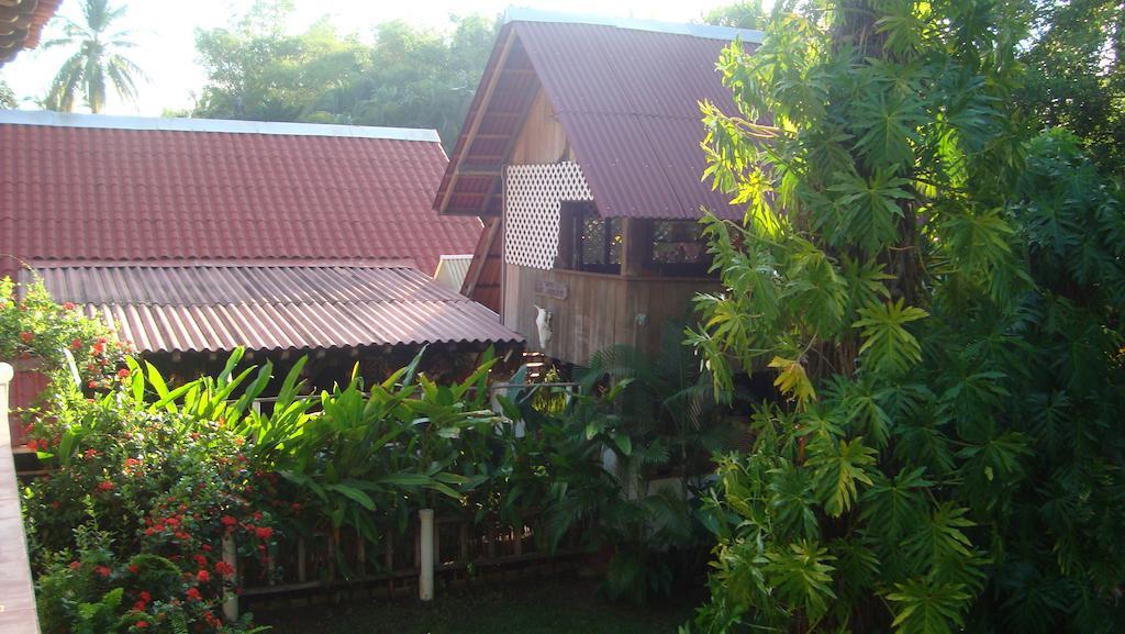 Hotel Quinta Erika Coyuca de Benitez Exterior foto